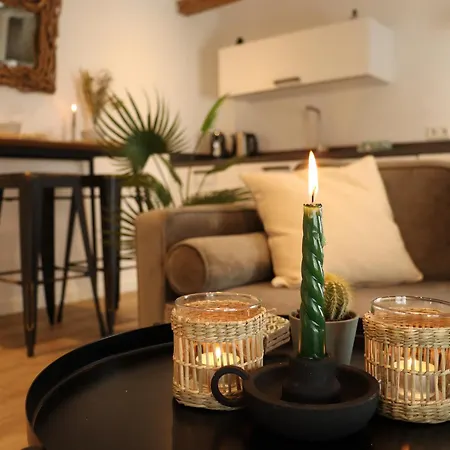 Coolest In - Close To And Amsterdam * Haarlem