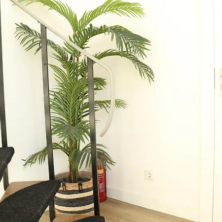 Lejlighed Coolest In - Close To And Amsterdam